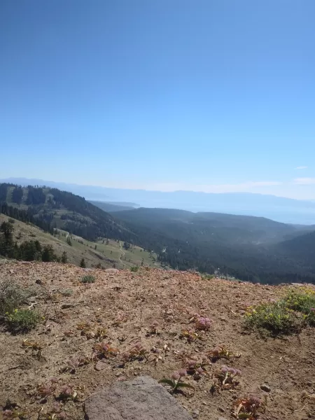 day102 2