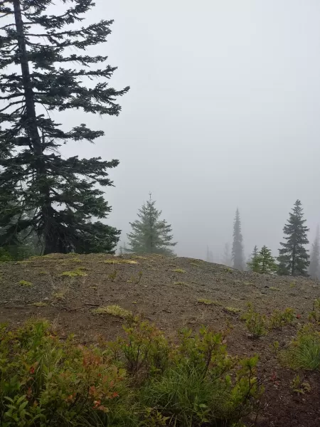 day156 2