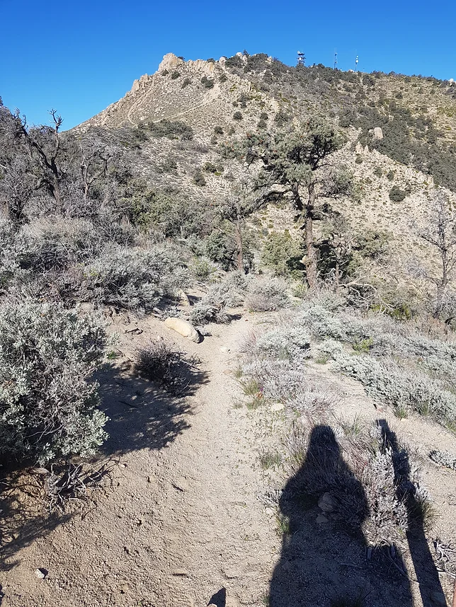 day37