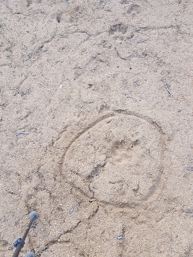 day40 1
